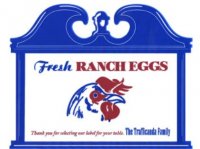 Trafficanda eggs